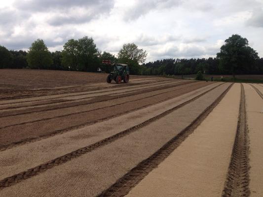 Forstbaumschulen Hermann von Appen