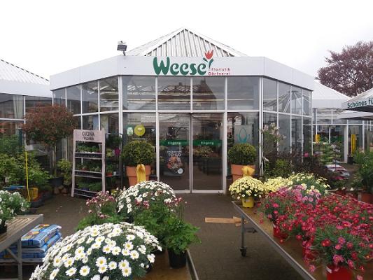 Blumen Weese, Gärtnerei