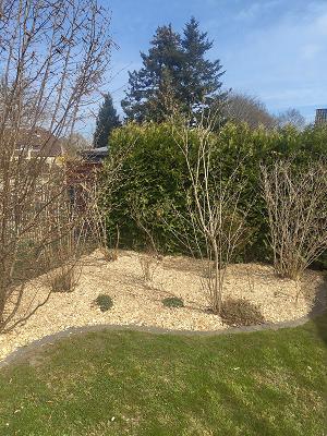 Gartenservice Jannes Van Setten