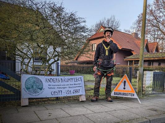 Anders Baumpflege