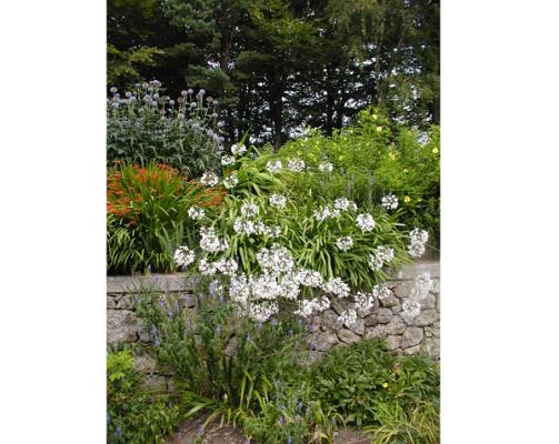 Schnitzbauer Gartenpflege