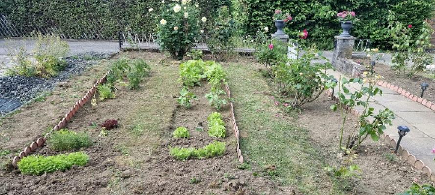 Shahini Garten- & Landschaftsbau