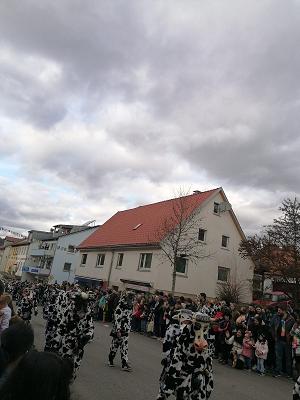 Garten und Landschaftsbau Krist