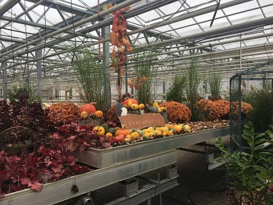 Pflanzenwelt Lühnen GbR