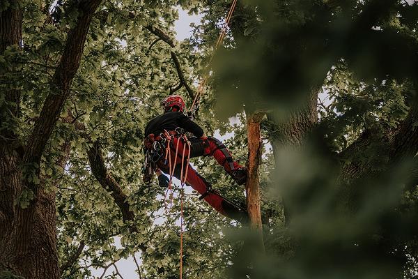 Plant un Boom Baum- & Gartenpflege GmbH
