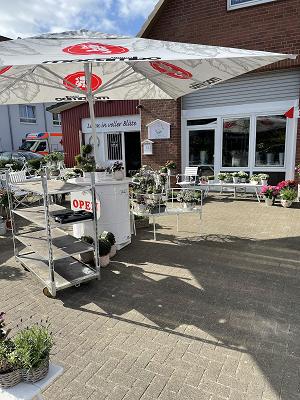 Leben in voller Blüte