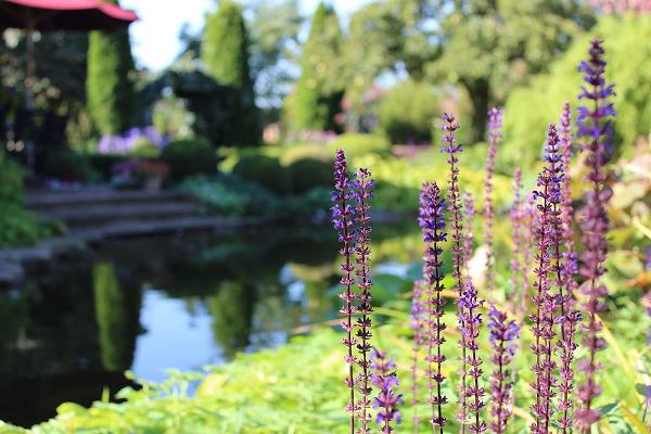 Wiechardt & Stähr Teich- und Gewässerservice