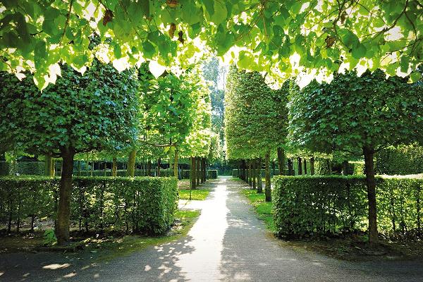 Simon Brockmann: Haus- & Gartenservice | Bremervörde