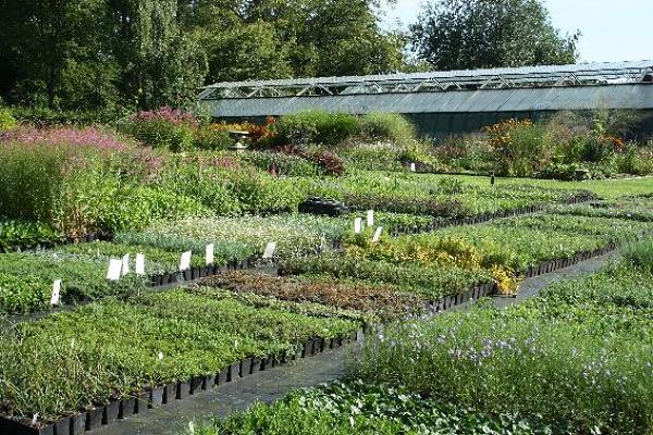 Klingel u. Luckhardt