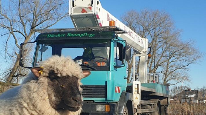 Arno Döscher. Gartenbau und Lohnbetrieb+ Baumkontrolle