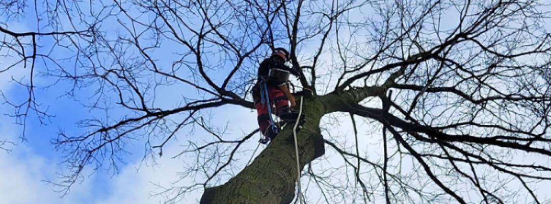 Garten-u. Landschaftsbau Stefan Spaniol