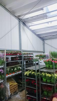 Ulf Harms Blumenhandel GmbH