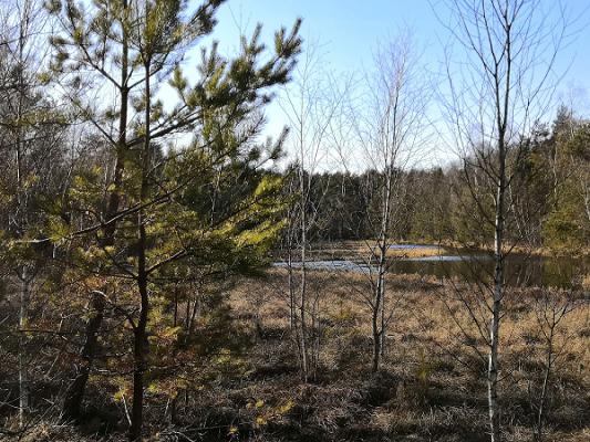 Bebba Garten- und Landschaftsbaumeisterbetrieb | Wingst