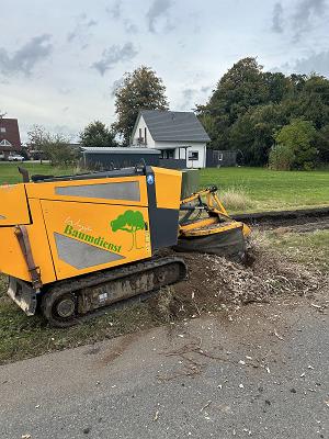 Wingster-Baumdienst e.k