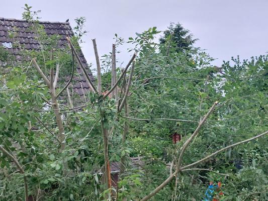 T & K Gartengestaltung U.G.