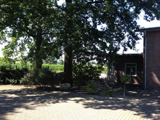 Rolf Luttmann Landschaftsbau & Straßenunterhaltung