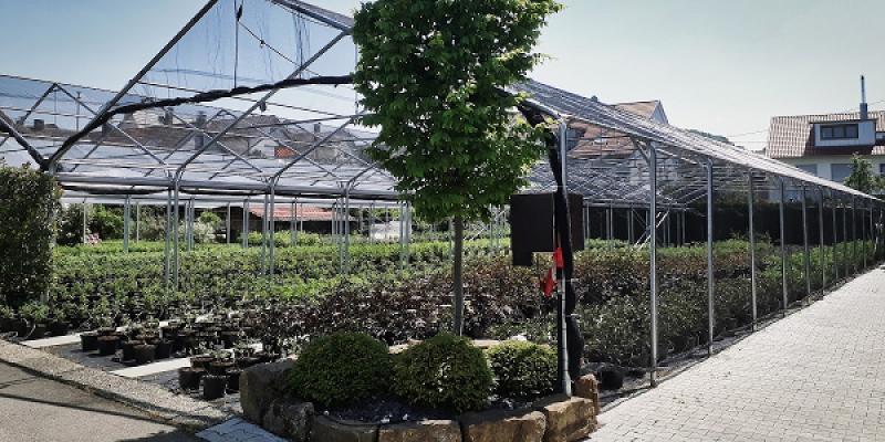 Weissinger Baumschulen