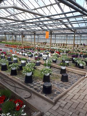 Gärtnerei Feddermann