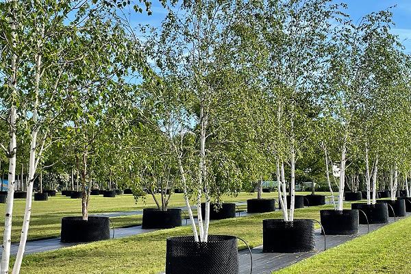 Ulmer Baumschulen Baumpark