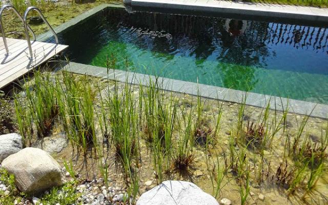 ProTeich Teichbau GmbH