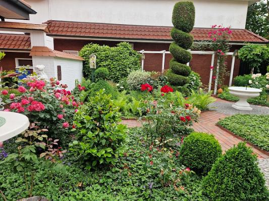 Gartenarbeiten, Baumpflege H&H