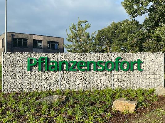 Pflanzensofort - Rollrasen Rudi