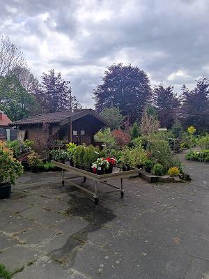 Leiz Gartengestaltung und Grabpflege