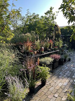 Garten u. Stein/kleine Gärtnerei im grünen Haus