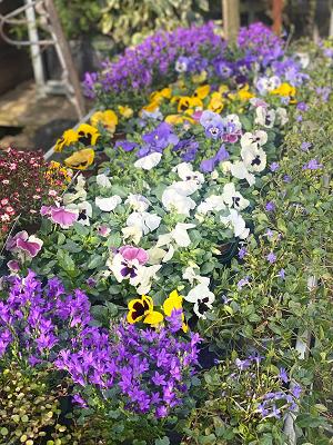 682eff8e8ff41
