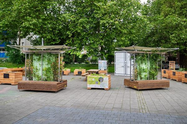 WILHELMS HochbeetGARTEN