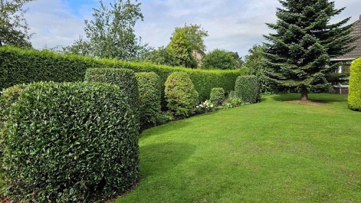 Harrys Gartenfreude ‍