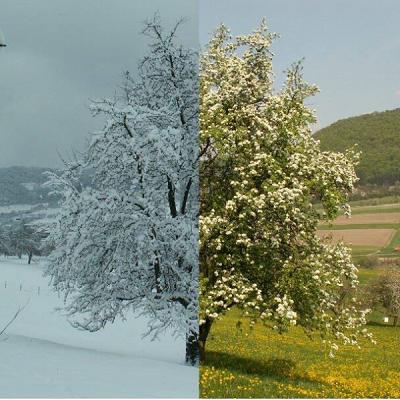 Obst- und Gartenbauverein Brucken