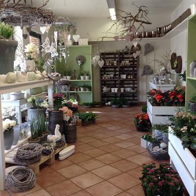 Blumenhaus Steffens GbR