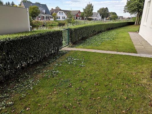 Haus- und Gartendienst