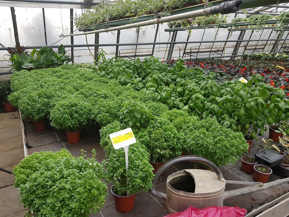 682deadb97f7e