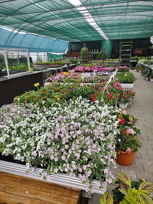 Pflanzenhof am Bültenweg .Inh Erika Janßen