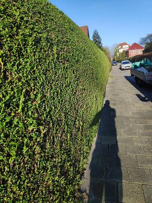 Schoone's Gartenteam