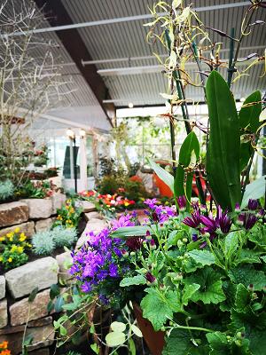 "Blumenreich" Blumenhalle & Gartenpark