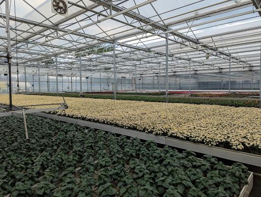 Acquistapace Gartenbau Service GbR