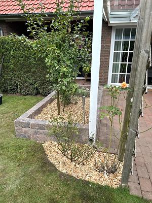 Gartenbau Osfriesland - Gestaltung & Pflege