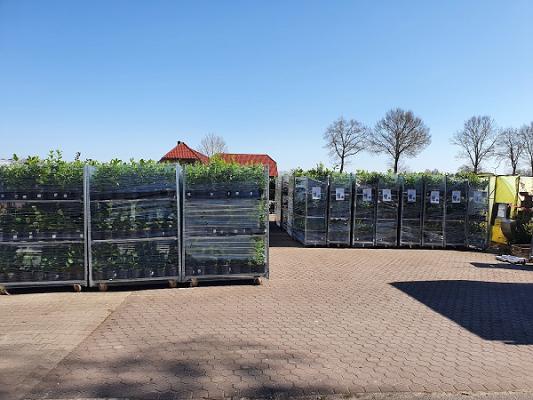 Karl-Heinz Reinders Baumschule