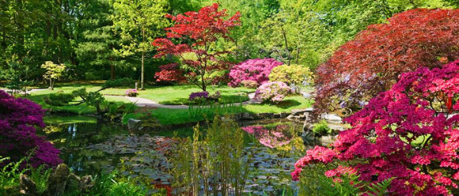 Tilo Maecker Gartengestaltung, Landschaftsbau & Baumschule