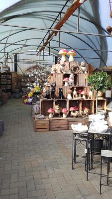 Pflanzencenter Heinz-Hermann Niehüser