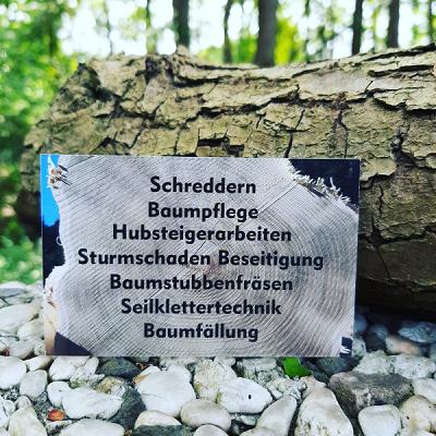 Lang-Dienstleistungen rund um den baum