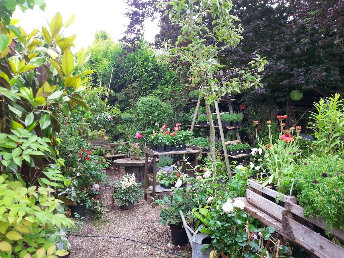 682f01937f0ea