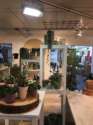 Blumen & Gärtner Liebrich