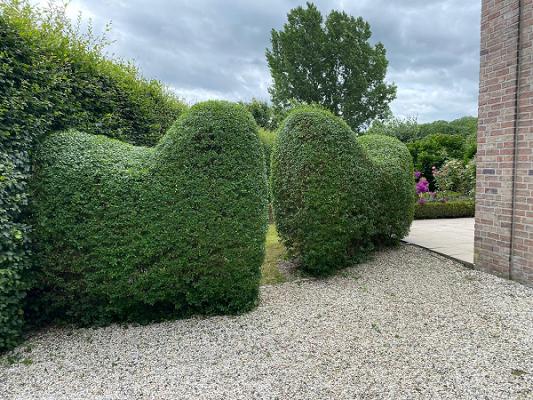 Galafit - Gartenpflege