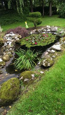 Thiemens GartenBaumschule