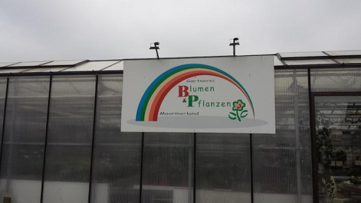 B & P Blumen und Pflanzen GmbH
