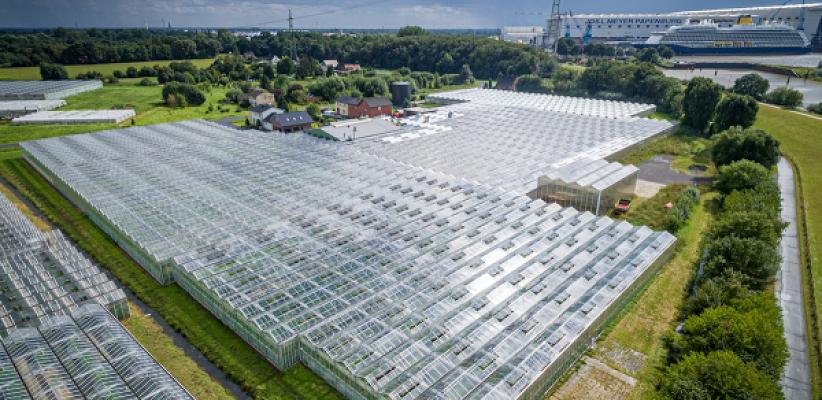 Gartenbau Hermann und Hedwig Brelage GbR